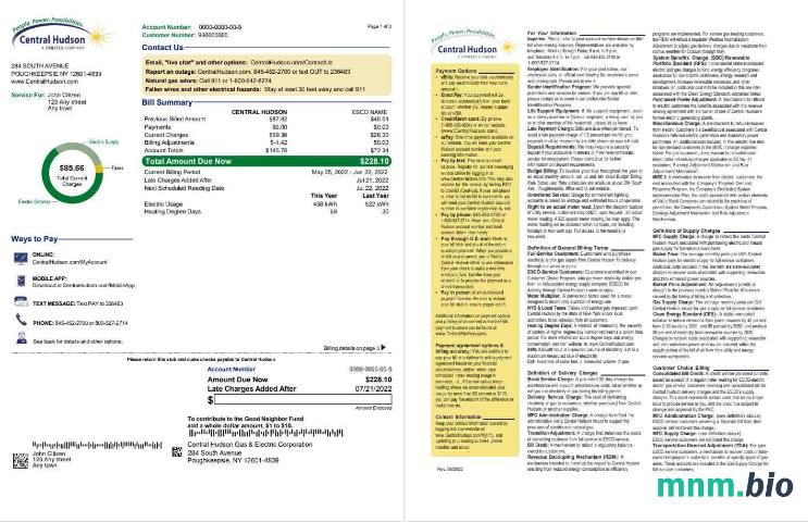 USA New York Central Hudson a fortis company rachunek za media, Word i PDF template, 3 strony 1 2